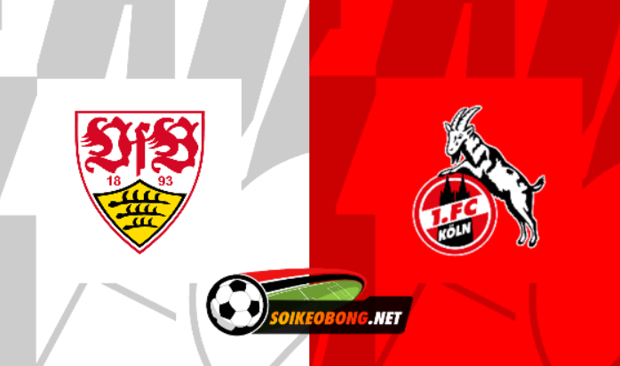 Soi kèo trực tuyến 7M trận Stuttgart vs FC Koln –  21h30 ngày 24/02/2024: Tiếp đà thăng hoa
