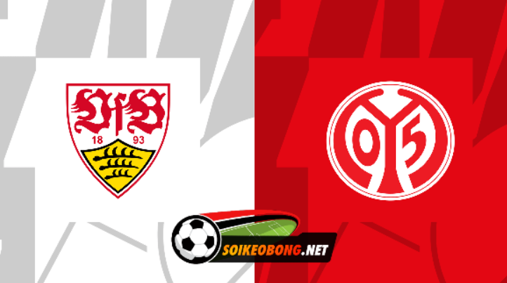 Soi kèo trực tuyến 7M trận Stuttgart vs Mainz –  21h30 ngày 11/02/2024: Đẳng cấp khác biệt