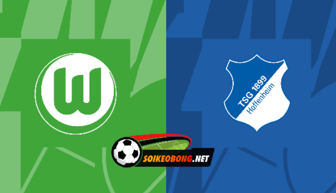 Soi kèo trực tuyến 7M trận Wolfsburg vs Hoffenheim –  21h30 ngày 04/02/2024: Sói Xanh rửa hận