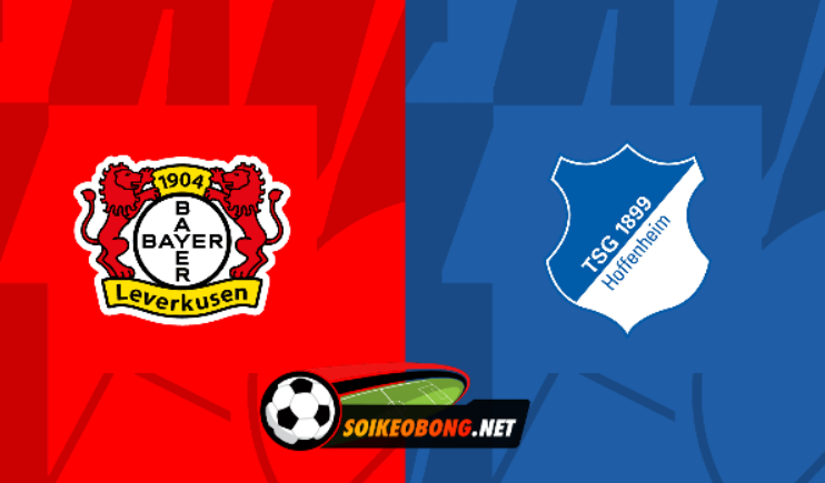 Soi kèo trực tuyến 7M trận Bayer Leverkusen vs Hoffenheim –  21h30 ngày 30/03/2024: Khó có bất ngờ