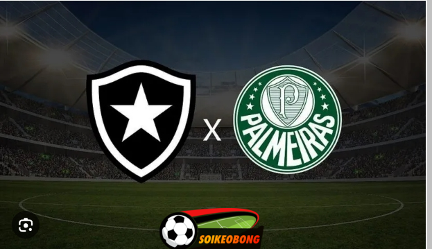 Soi kèo trực tuyến 7M trận Botafogo vs Palmeiras –  07h30 15/08/2024: Ưu thế sân nhà