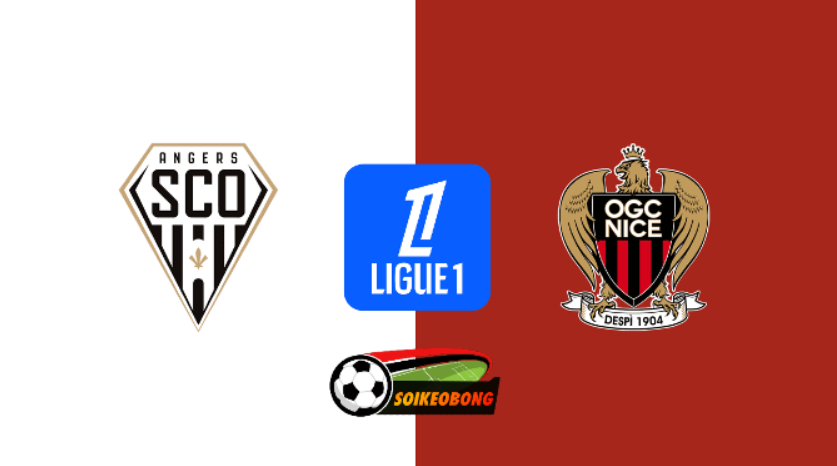 Soi kèo trực tuyến 7M trận Angers vs Nice –  22h00 ngày 01/09/2024: Không dễ bắt nạt
