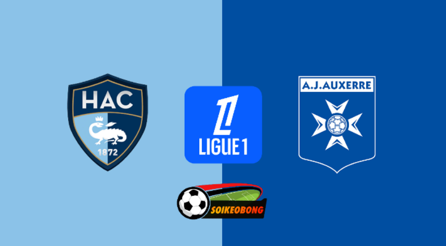 Soi kèo trực tuyến 7M trận Le Havre vs Auxerre –  22h00 ngày 01/09/2024: Chủ nhà rửa hận