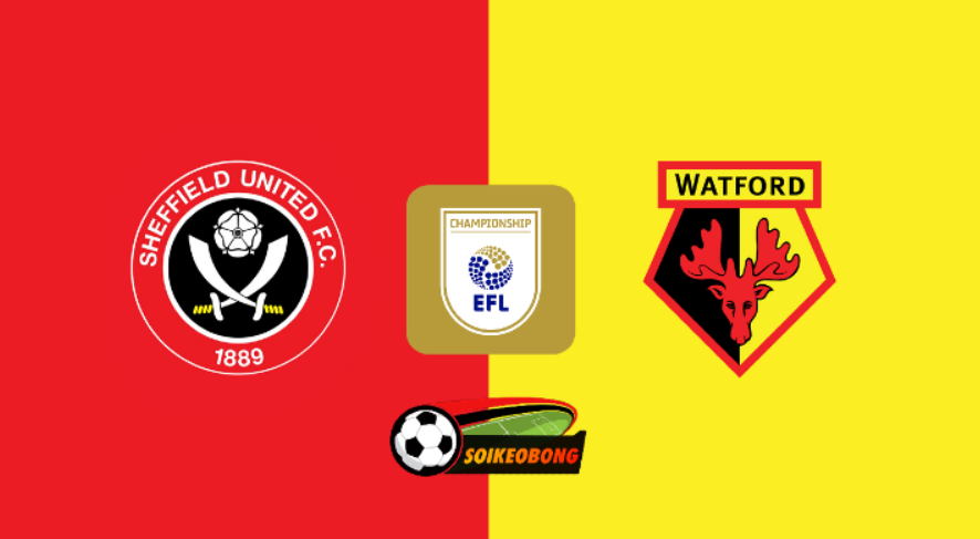 Soi kèo trực tuyến 7M trận Sheffield Utd vs Watford –  21h00 ngày 01/09/2024: Sức mạnh vị khách