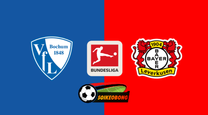 Soi kèo trực tuyến 7M trận Bochum vs Bayer Leverkusen –  21h30 ngày 09/11/2024: Nhà vua thức tỉnh